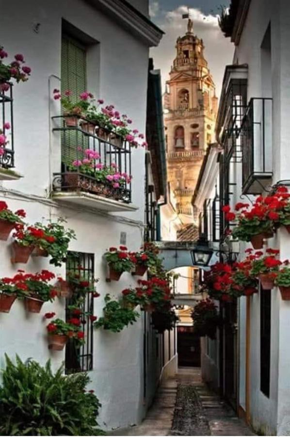 Apto Con Patio Y Barbacoa Bbq H De La Reina Cordoba Exterior photo